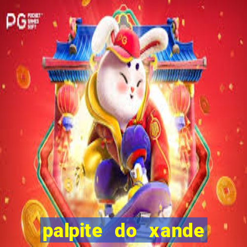 palpite do xande para hoje